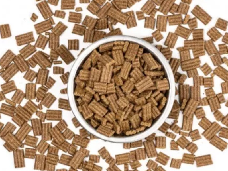 cold-pressed canine food for the best nutrition dog needs