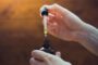 Exploring the World of CBD Drops
