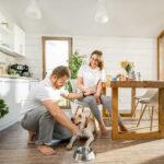 Dog Food Secrets Your Clever Dog Understands dog food