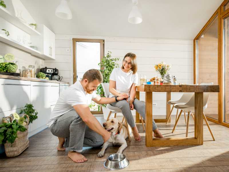 Dog Food Secrets Your Clever Dog Understands